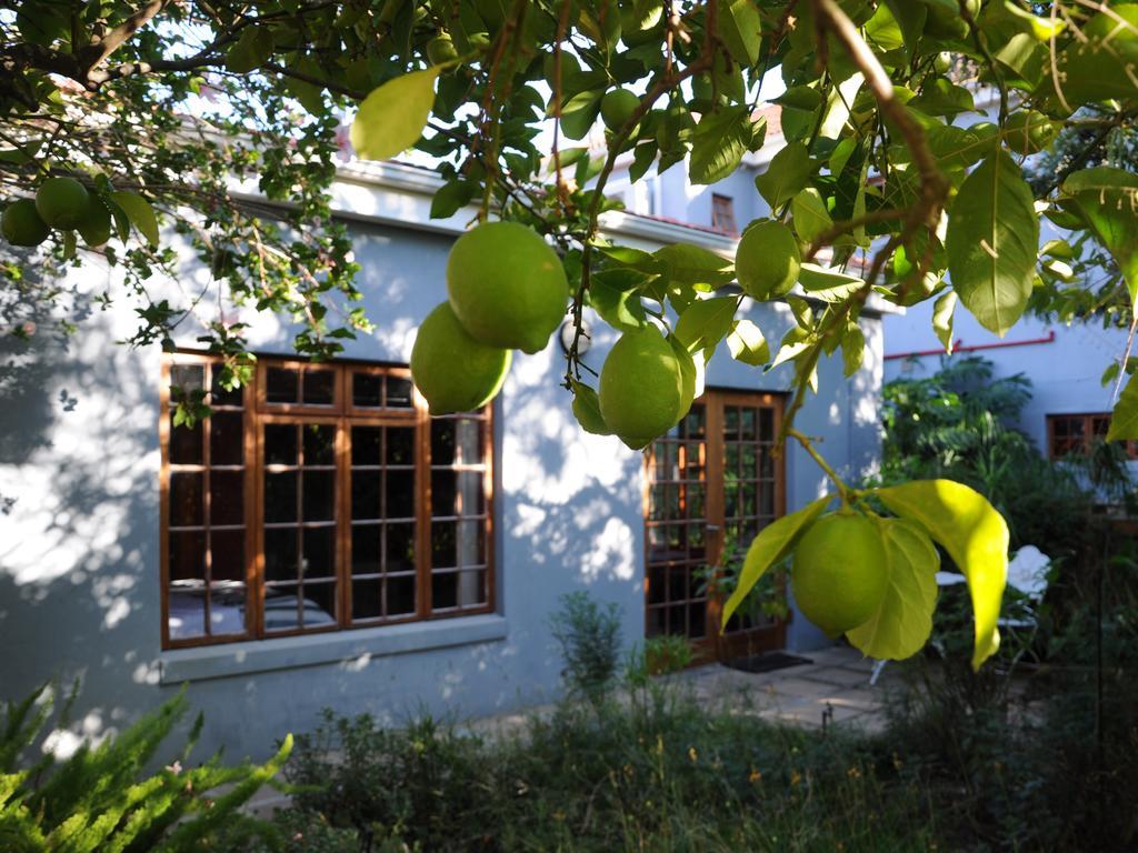 House Of House Guest House Stellenbosch Extérieur photo