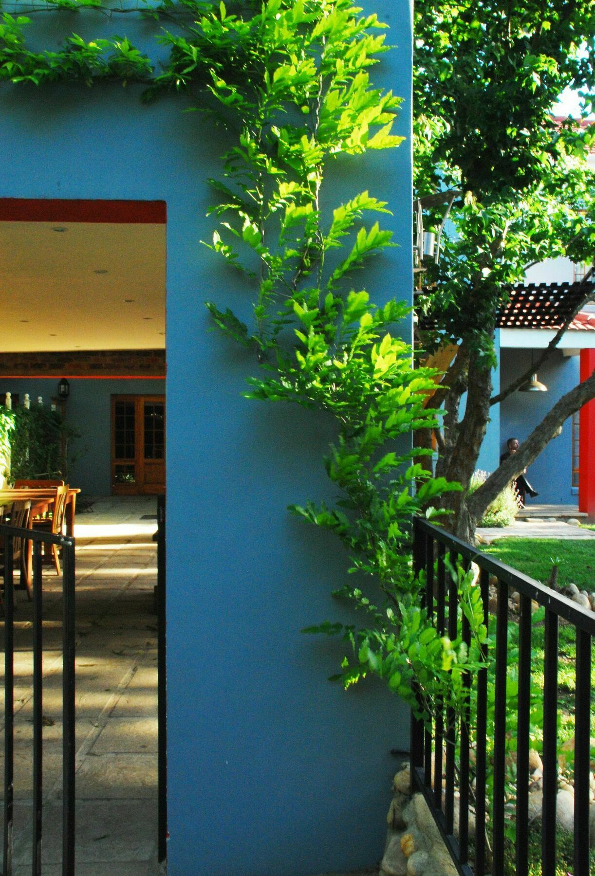House Of House Guest House Stellenbosch Extérieur photo